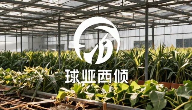 广告设计中新媒体运营的使用与维护建议比较